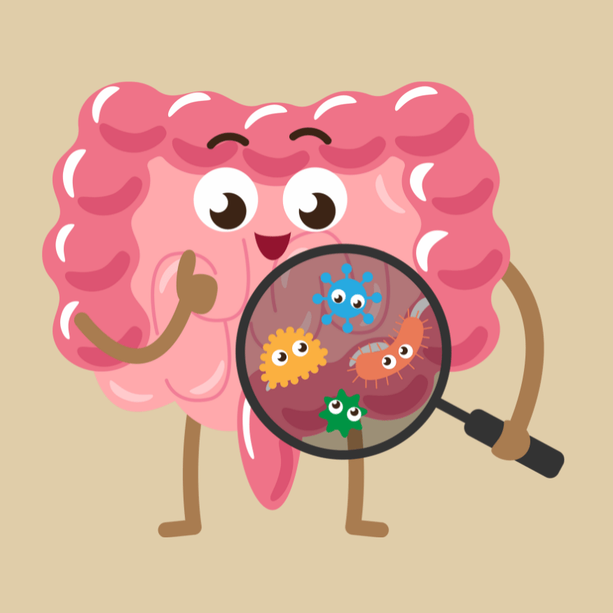 <p><strong>Gut Health</strong></p>